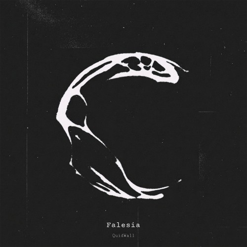 Falesia — QuidWall (2026)