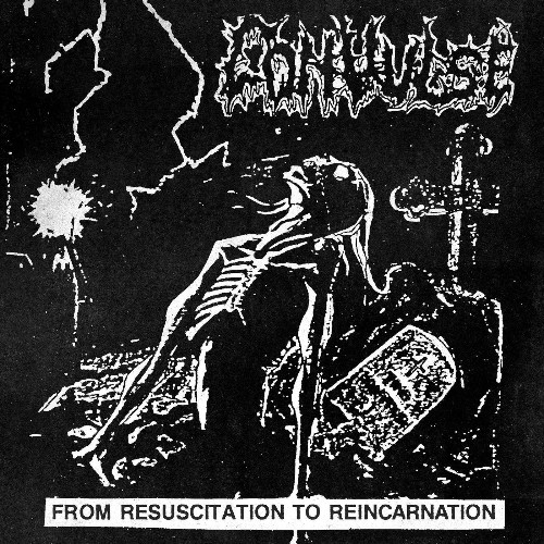 Convulse — From Resuscitation to Reincarnation — The Early Years (2026)