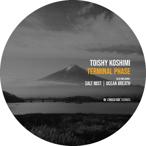 Toishy Koshimi — Terminal Phase (2026)