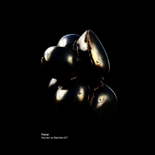 Pørtal (IT) — Human vs Machine (2026)