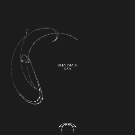 Silentsevir - Kaa (2026) flac