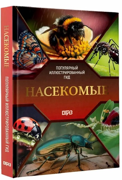 Насекомые. Иллюстрированный гид