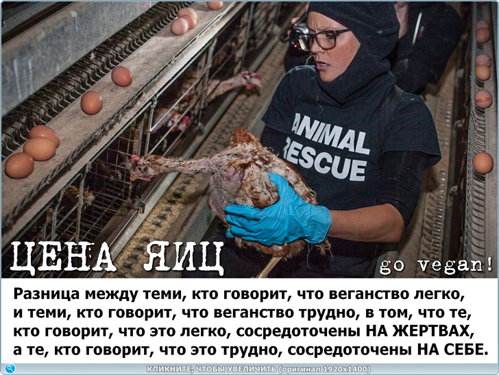 https://i127.fastpic.org/big/2026/0702/21/022d98efdbae4b984a6347de88515c21.jpg