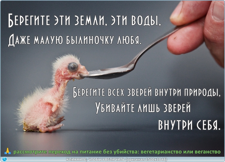 https://i127.fastpic.org/big/2026/0702/d4/7a7691c625799c73680d6b5a3e8bb8d4.jpg