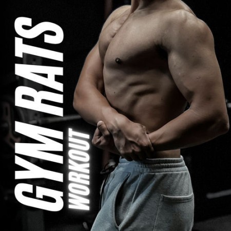GYM RATS WORKOUT (2026)