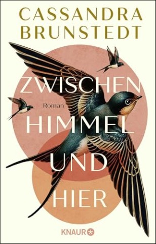 Cover: Brunstedt, Cassandra - Zwischen Himmel und hier