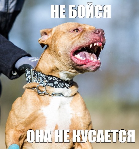 d0b8ac5b5c282ee2e66ff11f467f2aca.jpg