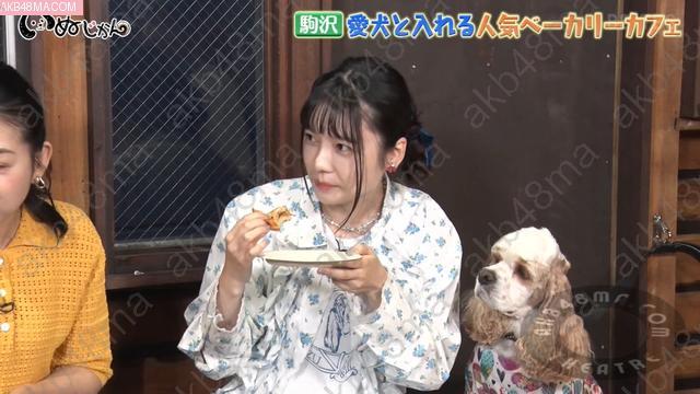 Webstream | 260704 Inu Jikan (Shimazaki Haruka)