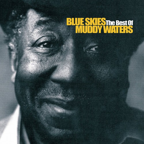 Muddy Waters - Blue Skies - The Best Of (2002) [Lossless+MP3]