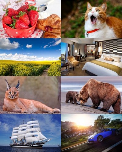 Wallpapers Mix �2037