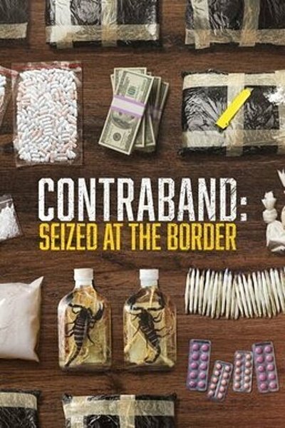 Contraband Seized at the Border S09E04 1080p HEVC x265-MeGusta