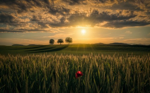 Mixturka - Wallpapers Collection 325