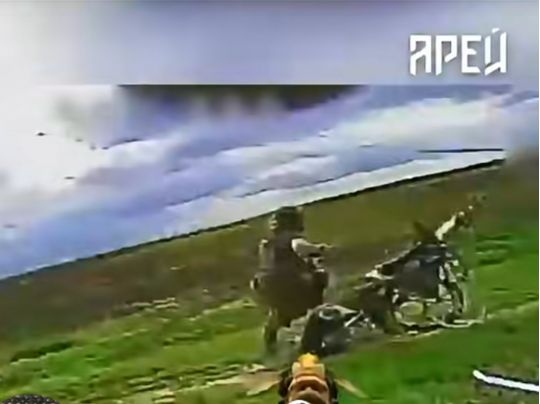 Бджола-бабайка в дії: відео полювання полку «Арей» на окупантів б’є рекорди у мережі