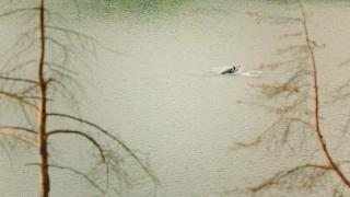 ��������� (2026/WEB-DL)