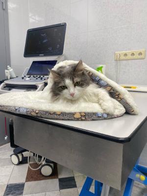 ��� �������� - ����������� ������ ! ( ���. ����� 2.)