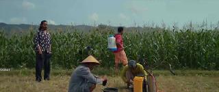 Тысяча оттенков Пурнамы (2024)