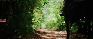 Сказка о царе Салтане (2025)