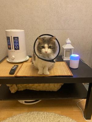 ��� �������� - ����������� ������ ! ( ���. ����� 2.)