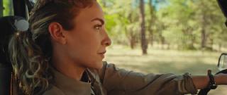 ������ � ��� / Lookout (2025/WEB-DL/WEB-DLRip)