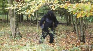 Бигфут с фотоловушки (2025)