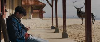 ������ �� �������� ��������������� / Regarde (2025/WEB-DL/WEB-DLRip)