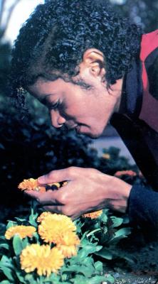 ������������,&nbsp; ���������&nbsp; ���&nbsp; ������&nbsp; ��&nbsp; ����.&nbsp; &nbsp;����� 3&nbsp; !!!