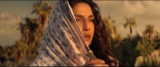 ���� / The Bluff (2026/WEB-DL/WEB-DLRip)