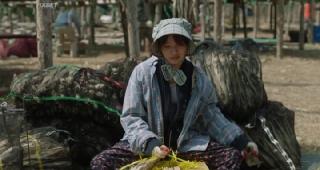 Земля утреннего спокойствия (Страна утренней свежести) (2024)