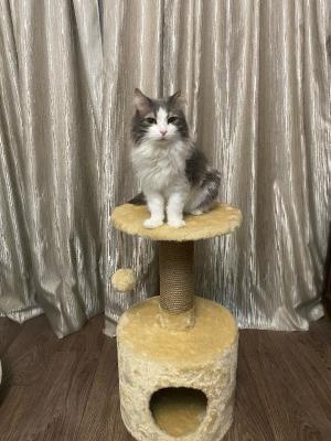 ��� �������� - ����������� ������ ! ( ���. ����� 2.)