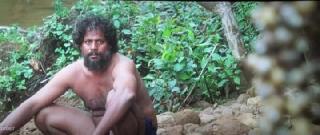 Лес Каа (2026)