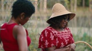 Южный персик (2025)