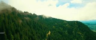 Аутсайдеры (2025)