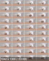 VRbangers - Ride Em Cowboy : Elsa Jean (UltraHD/4K/3840p/4.12 GB)