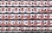 TransexVR - Amanda Fialho (UltraHD/4K/1920p/2.69 GB)