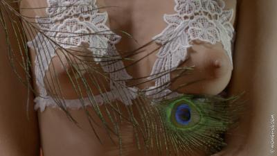 [Image: _7ff927202fb480ee1cfbc048d74a4d3c.jpeg]