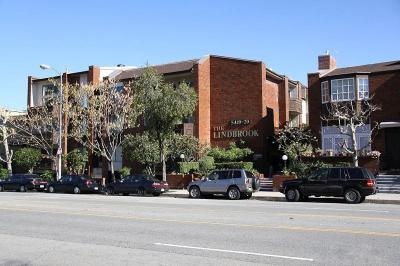 ���������. ( ����� 4.)