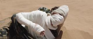 Белая Африка (2025)