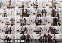 LegalPorno - Ginebra Bellucci Vs 4 BBC With Creampie Ending SZ2406 (HD/720p/3.07 GB)