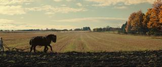 ����� � ���������� ����� (������ � ������) / Green and Gold (2025/WEB-DL/WEB-DLRip)