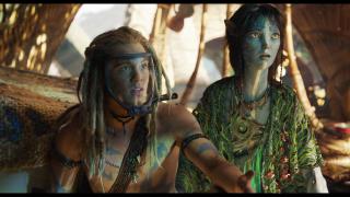 ������: ����� � ����� / Avatar: Fire and Ash (2025/WEB-DL/WEB-DLRip)