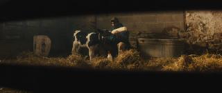 ����� � ���������� ����� (������ � ������) / Green and Gold (2025/WEB-DL/WEB-DLRip)