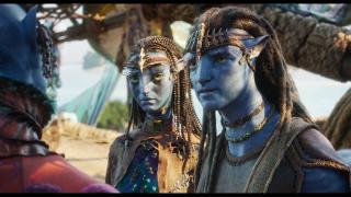 ������: ����� � ����� / Avatar: Fire and Ash (2025/WEB-DL/WEB-DLRip)