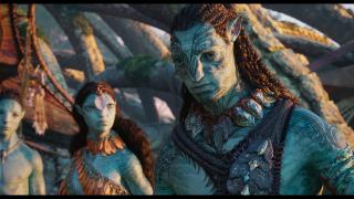 ������: ����� � ����� / Avatar: Fire and Ash (2025/WEB-DL/WEB-DLRip)