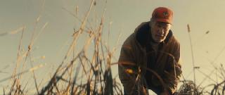 ����� � ���������� ����� (������ � ������) / Green and Gold (2025/WEB-DL/WEB-DLRip)