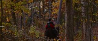 Серебряная звезда (2024)