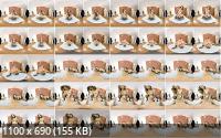 StockingsVR - Fuck Me In My Panties : Cindy Shine (UltraHD/4K/3072p/2.21 GB)
