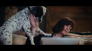 ���, ������, ��� / Eat Pray Bark (2026/WEB-DL/WEB-DLRip)