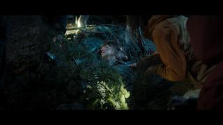 ���, ������, ��� / Eat Pray Bark (2026/WEB-DL/WEB-DLRip)