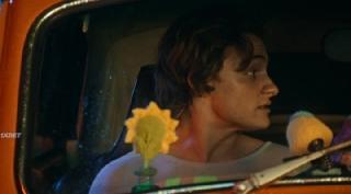 Любовная лихорадка (2025)