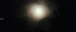 Парадокс Алисы (2026)